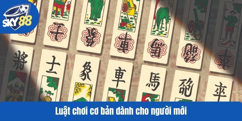 Luật chơi cơ bản dành cho người mới