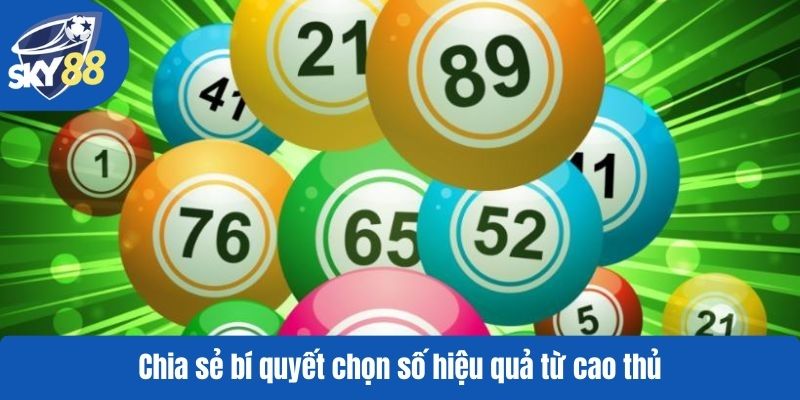 Chia sẻ bí quyết chọn số hiệu quả từ cao thủ