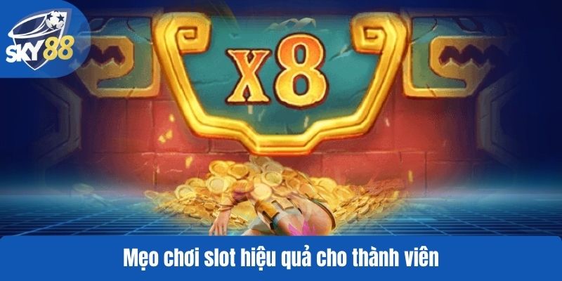 Mẹo chơi slot hiệu quả cho thành viên